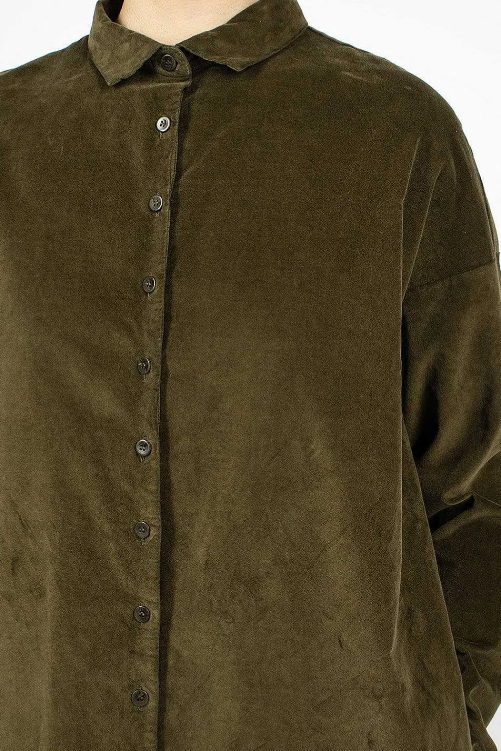 Album di Famiglia 31_198 Velvet Collar Dress Olive| Dresses